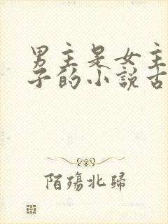 男主是女主小叔子的小说古文