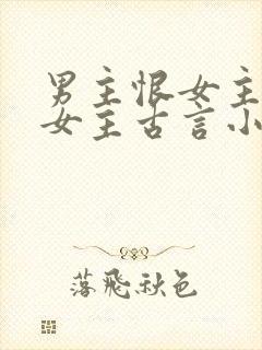 男主恨女主报复女主古言小说