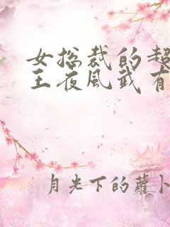 女总裁的超级兵王夜风武有几个女人