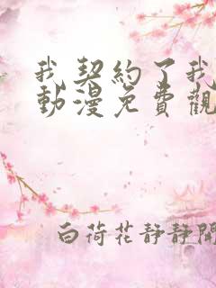 我契约了我自己动漫免费观看全集第二季