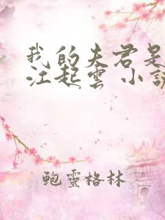 我的夫君是冥王江起云 小说