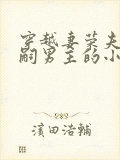 穿越妻荣夫贵绝嗣男主的小说