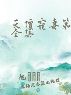 天价宠妻第四季全集