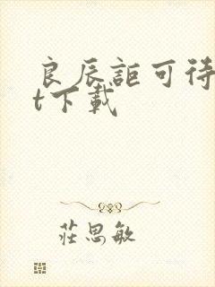 良辰讵可待txt下载