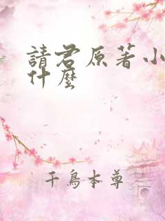 请君原著小说叫什么