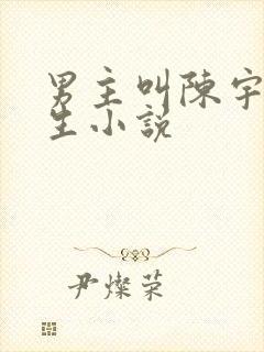 男主叫陈宇的重生小说