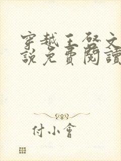 穿越王启文的小说免费阅读无弹窗