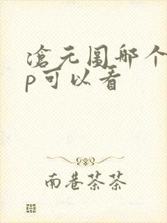 沧元图哪个app可以看