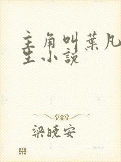 主角叫叶凡的重生小说