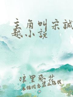 主角叫宋诚的穿越小说