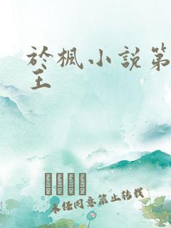 于枫小说第一兵王