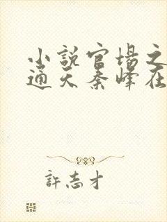 小说官场之手眼通天秦峰在线阅读