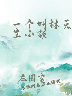 一个叫林天的重生小说