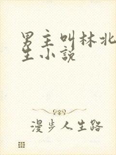 男主叫林北的重生小说