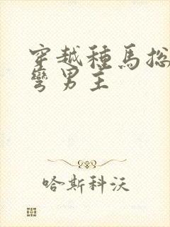 穿越种马总受掰弯男主