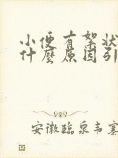 小便有絮状物是什么原因引起的