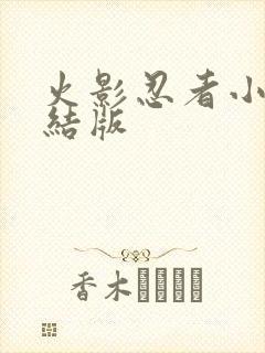 火影忍者小说完结版