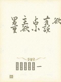 男主占有欲强且重欲小说