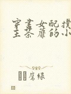 穿书女配扑倒男主茶蘼的小说