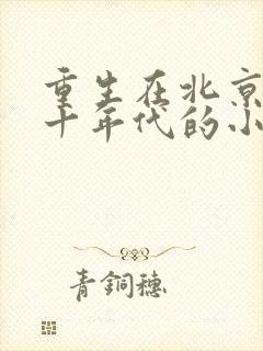 重生在北京七八十年代的小说
