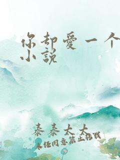 你却爱一个烧饼小说