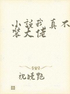 小说我真不是女装大佬