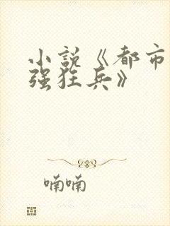 小说《都市之最强狂兵》