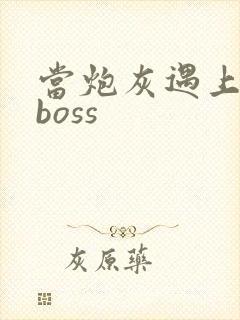 当炮灰遇上反派boss