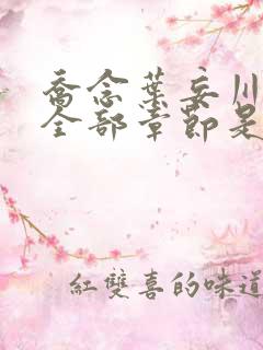 乔念叶妄川小说全部章节是多少节