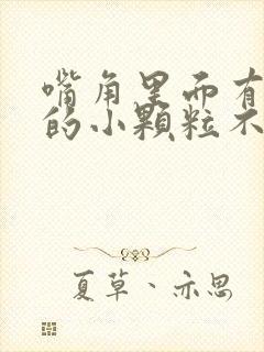 嘴角里面有白色的小颗粒不痛不痒