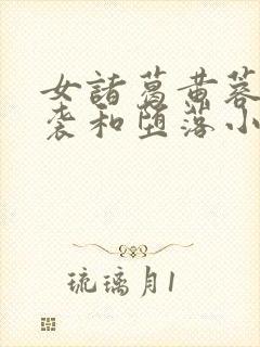 女诸葛黄蓉的逆袭和堕落小说结局