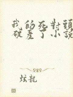 我的死对头终于破产了小说免费阅读