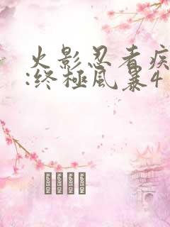 火影忍者疾风传:终极风暴4