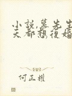 小说,慕先生每天都想复婚