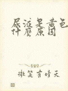 尿液是黄色的是什么原因