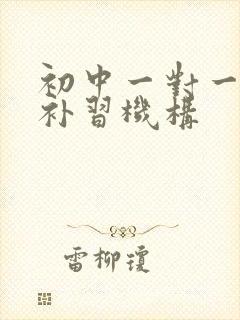 初中一对一化学补习机构