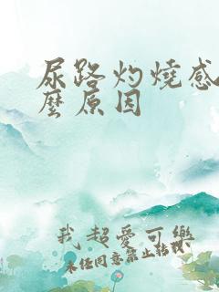 尿路灼烧感是什么原因