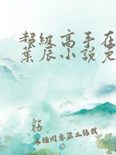 超级高手在都市叶辰小说免费阅读