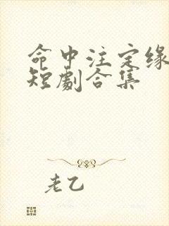 命中注定缘归来短剧合集