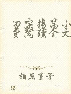 田宇杨茜小说免费阅读全文最新章节