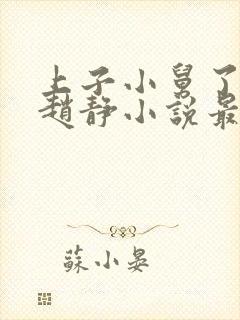 上子小舅了老婆赵静小说最新章节