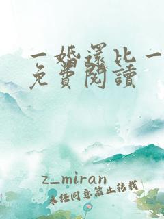 一婚还比一婚高免费阅读