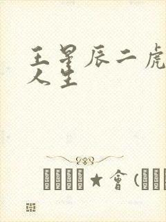 王星辰二虎逆袭人生