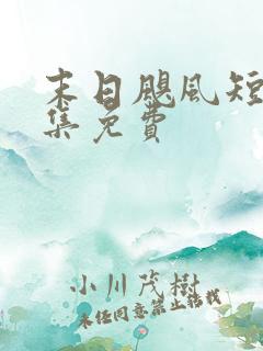 末日飓风短剧全集免费