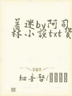 着迷by阿司匹林小说txt资源