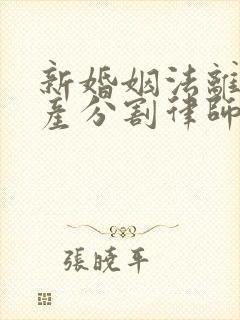 新婚姻法离婚财产分割律师