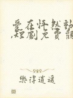 爱在怦然动心时,短剧免费观看