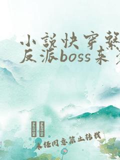 小说快穿系统之反派boss来袭