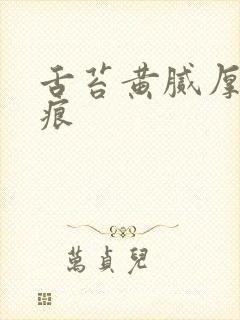 舌苔黄腻厚有齿痕