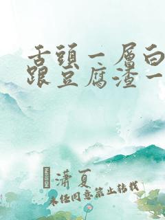 舌头一层白色的跟豆腐渣一样